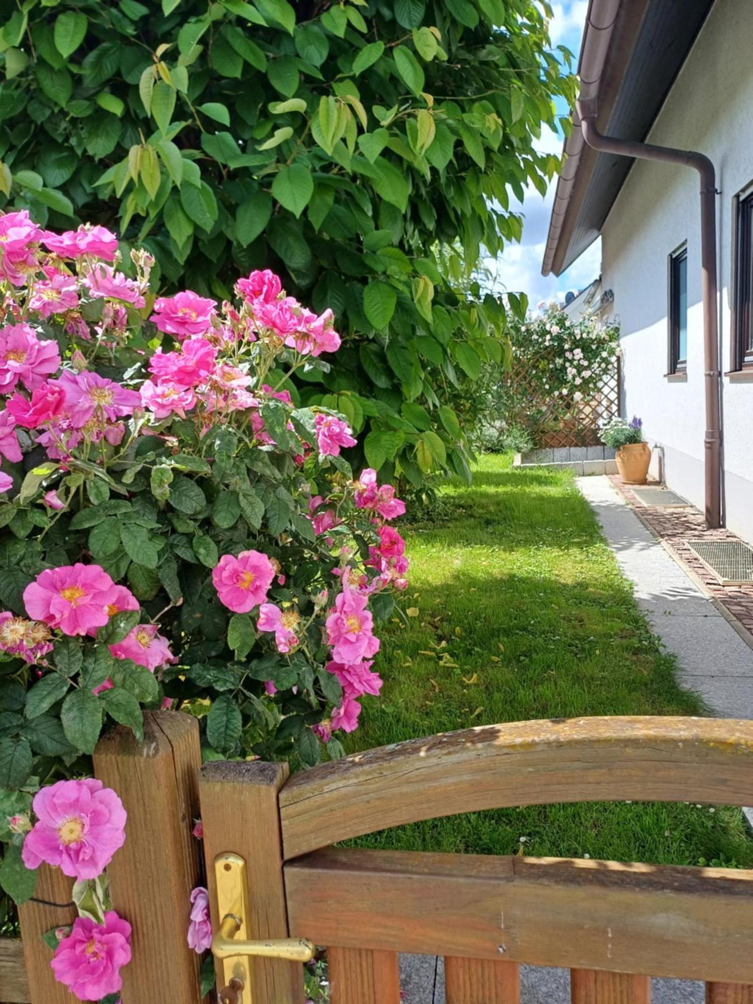 Ferienwohnung Unter Dem Sonnberg Аугген Екстер'єр фото